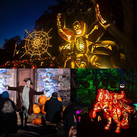 Celebrate Fall with Top-Rated Halloween Experiences: Two Activations of ...