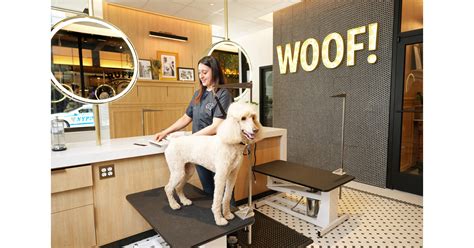 How Much Is Petco Cat Grooming at Shanita Parker blog