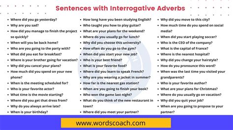 100+ Sentences with Interrogative Adverbs in English - Word Coach