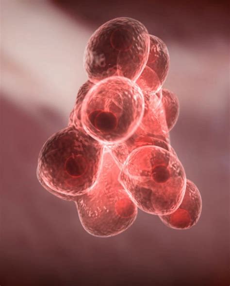 Corning® CellBIND® 表面｜マイナスチャージの先進的な細胞培養表面｜Corning