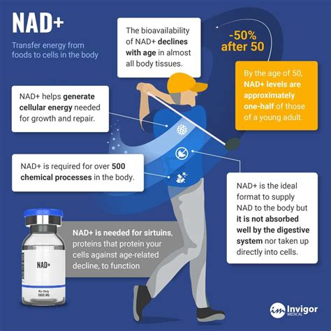 NAD+ Vs. NADH: What's The Difference? - Invigor Medical