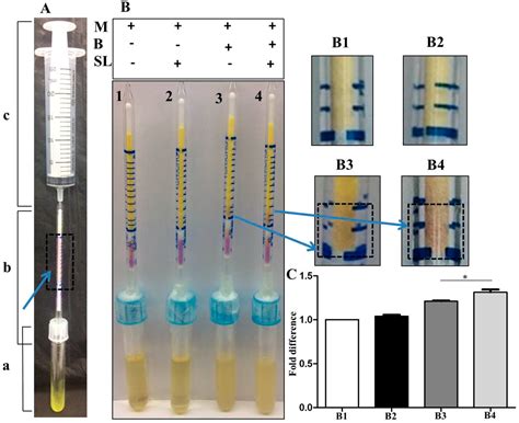 5-Methyl Furfural Reduces the Production of Malodors by Inhibiting ...