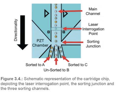 Image result for Cell Sorting Microfluidic Chip