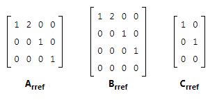 Echelon Form - Optional Notes for UPSC PDF Download
