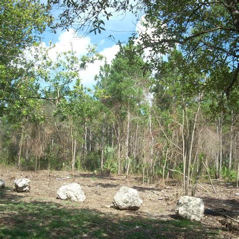 SEMINOLE WAYSIDE PARK (2025) All You Need to Know BEFORE You Go (with ...