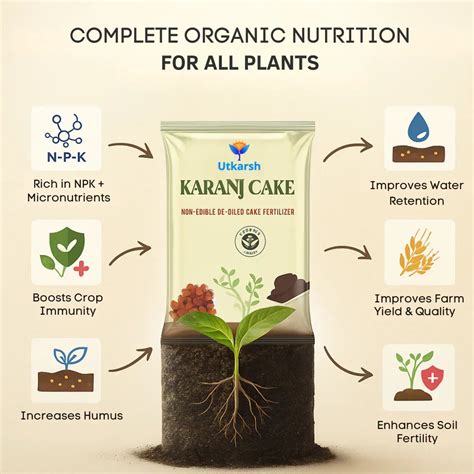 Karanj Cake | Pongamia Cake Khali | Organic Fertilizers Manure for Gar ...