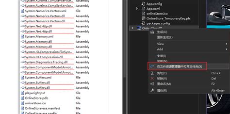 +Share EXEFile Visual Studio 的图像结果