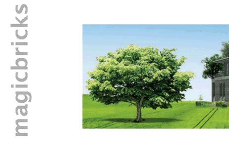 269 Sq-yrd Residential Plot & Land for Sale in Yamuna Expressway ...