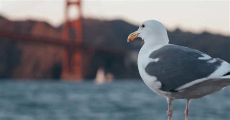 What You Should Know Before Starting Your Partner Marketing Outreach