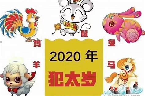 2023年生肖鼠幸运颜色（属鼠的人今年什么颜色最好旺财）_生肖_若朴堂文化