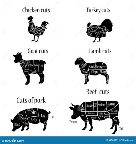 Meat Cuts Set. Diagrams For Butcher Shop. Scheme Of Chicken, Beef, Pork ...