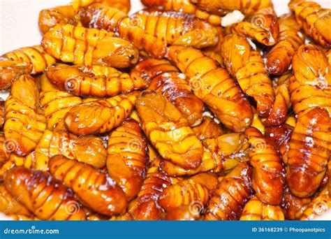 Fried silk worm stock image. Image of diet, dine, bondaegi - 36168239