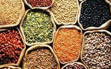 Pulses - Protect Our Livelihood
