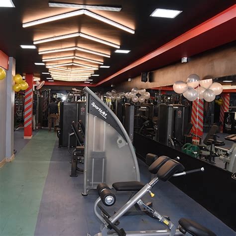 Best Gym in Chennai | Greek God Fitness - Madipakkam, Neelankarai ...
