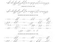 44 Calligraphy fonts alphabet ideas | fonts alphabet, lettering ...