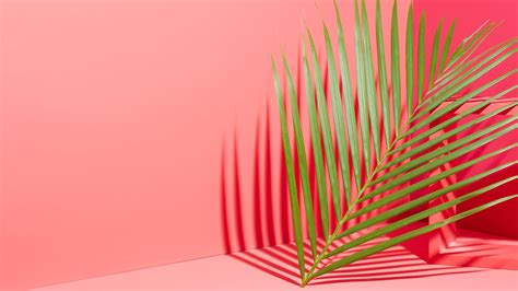 Graphic Desktop Wallpapers - Top Free Graphic Desktop Backgrounds - WallpaperAccess