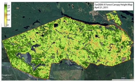 Using GEDI Waveforms for Improved TanDEM-X Forest Height Mapping: A ...