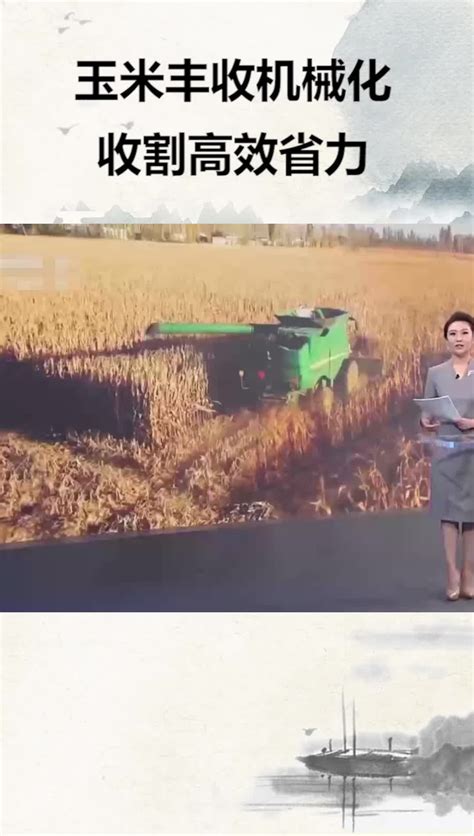 收割 的图像结果