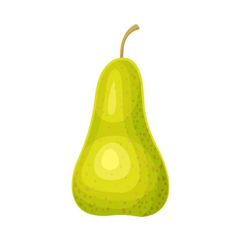 Whole Ripe Green Pear Pomaceous Fruit as Organic Garden Crop Vector ...