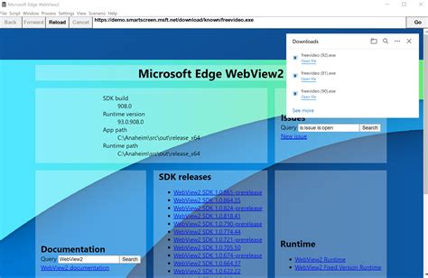 Edge WebView2 Features 的图像结果