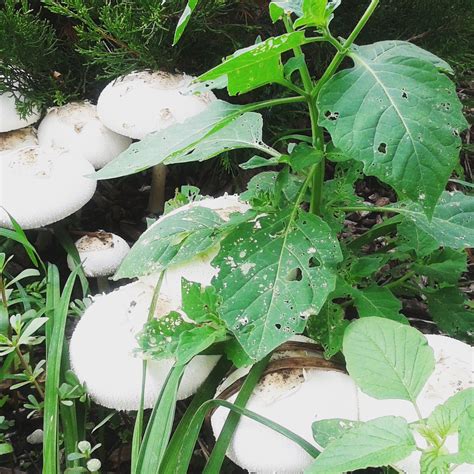 Psalm 24 King James Version (KJV) 24 The earth is the Lord's, and the ...