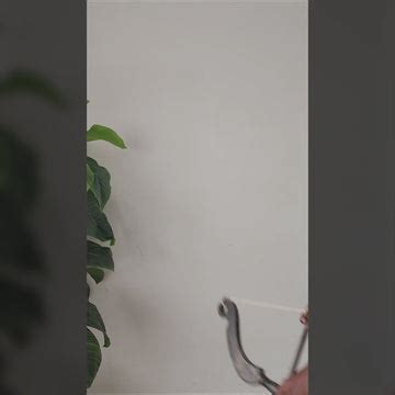 Traditional Theme – Madras Prop Store