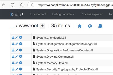 C# System.diagnostics 的图像结果