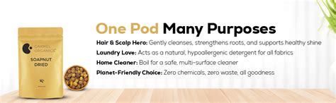CARMEL ORGANICS Soapnut/Reetha Whole 300g | Pure Reetha Pods | Natural ...