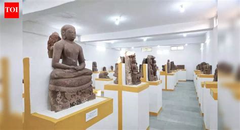ASI sets up village museum with 58 rare Gupta-era artefacts in Panna’s ...