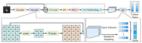 Hybrid CNN–Transformer with Fusion Discriminator for Ovarian Tumor ...