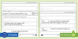 Grade 3 Phonics Pack suffix -ness (teacher made) - Twinkl