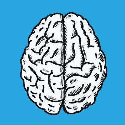 Image result for Prefrontal Cortex Damage