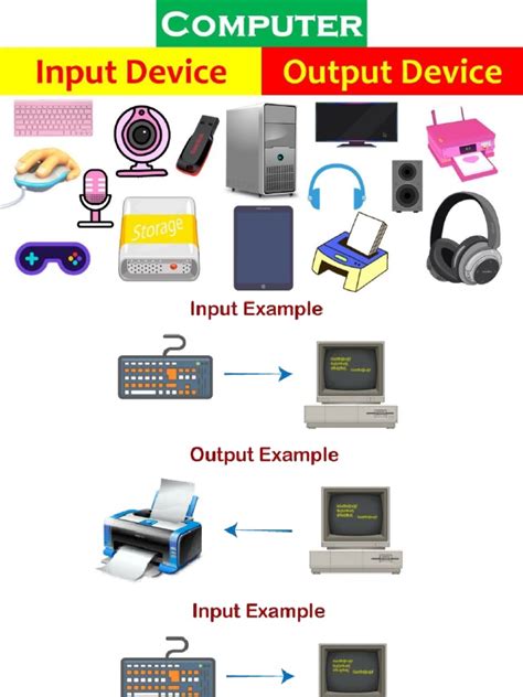 Input and Output Devices | PDF