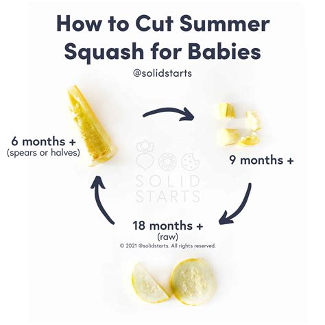 Can Babies Eat Raw Zucchini