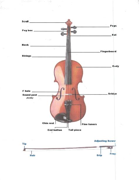 Miss Jacobson's Music: VIOLIN: Parts of the Violin