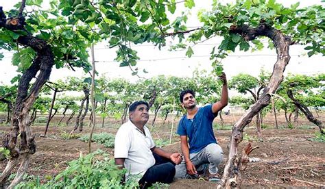 These drought-proof villages of Maharashtra have lessons to offer- The Week