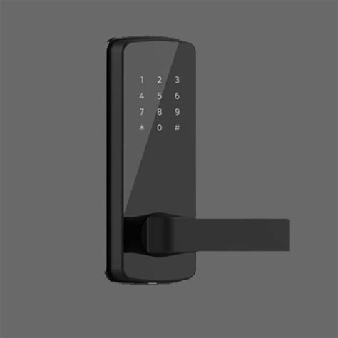 Secure Your Home with Electronic Locks in Gurgaon | Immersive Tech