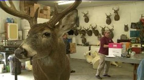 One Less Deer Processing Option for Hunters | wnep.com