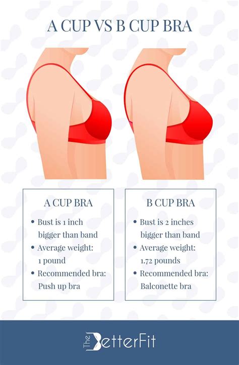 A Cup vs B Cup Bra Sizes In Review | Bra cups, Bra size charts, Cup