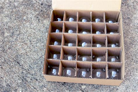 Image result for Canopy String Lights