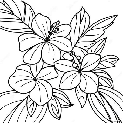 Hawaiian Tropical Flower Coloring Pages
