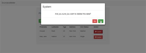 View Add and Delete MySQL Data in Browser Using PHP 的图像结果