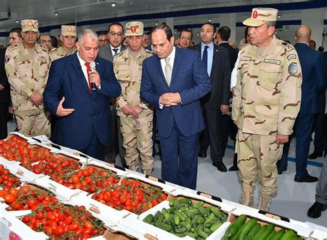 مصر والأمن الغذائي: خطوة هامة نحو التنمية – EGYCommunity