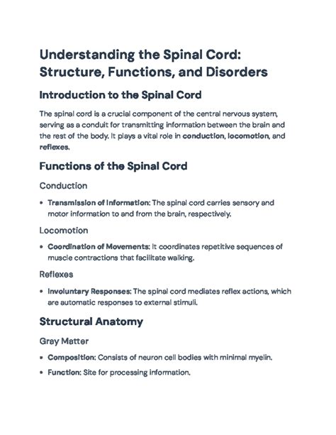 Image result for Spinal Cord Structure and Function
