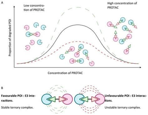 Central Nervous System Targeted Protein Degraders