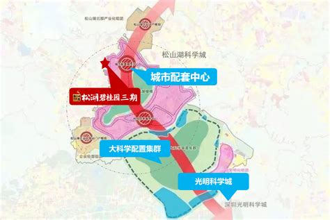 東莞松山湖観光ラン 2022年9月11日（日） - 深セン猛走会 ランニングブログ