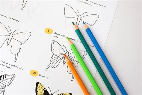 Learning Butterfly Tricks 的图像结果