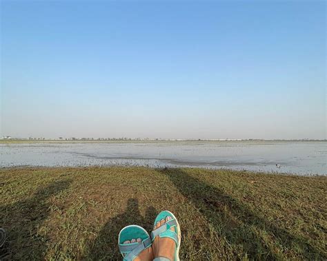 THE 10 BEST Places to Visit in Gondia (UPDATED 2024) - Tripadvisor