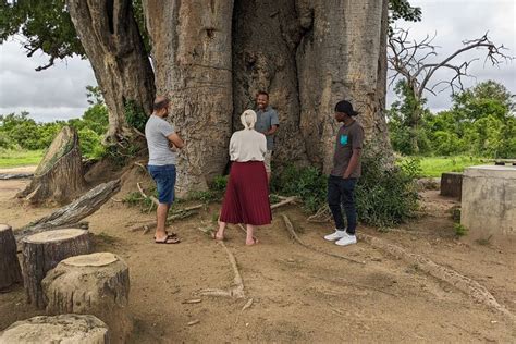 5 DAYS 4 NIGHTS TANZANIA BIG FIVE SAFARIS (2026) All You Need to Know ...