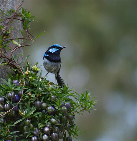 Image result for Plot with Two X-Axes Matplotlib